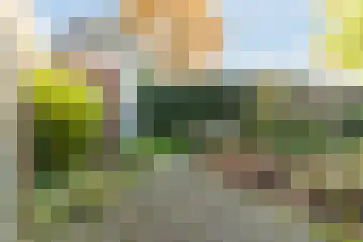 Gerardus Majellastraat 2 B Dongen thumbnail 23