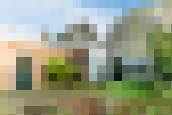 Gerardus Majellastraat 2 B Dongen thumbnail 24