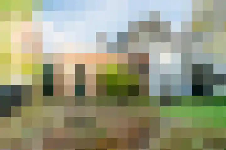 Gerardus Majellastraat 2 B Dongen thumbnail 26