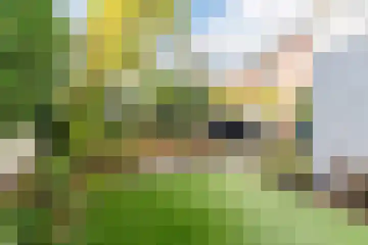 Gerardus Majellastraat 2 B Dongen thumbnail 27