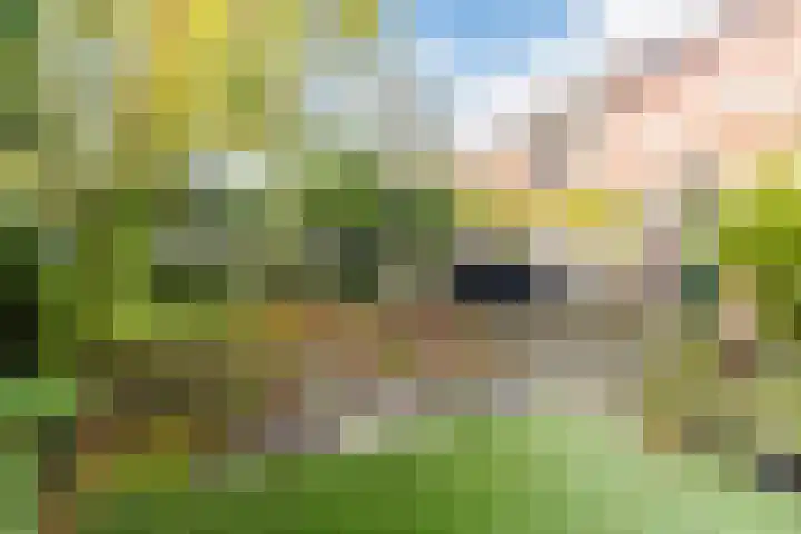 Gerardus Majellastraat 2 B Dongen thumbnail 28