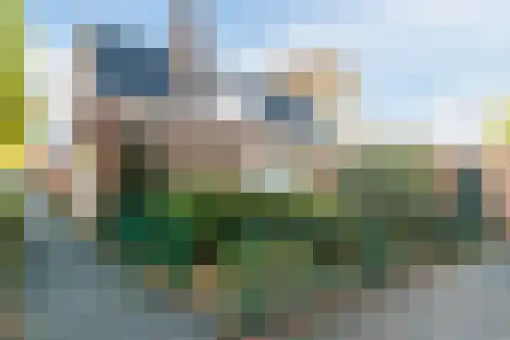 Gerardus Majellastraat 2 B Dongen thumbnail 29