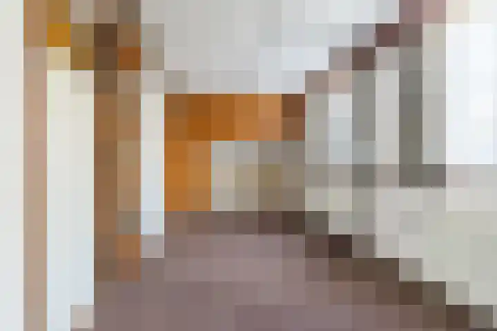 Gerardus Majellastraat 2 B Dongen thumbnail 30