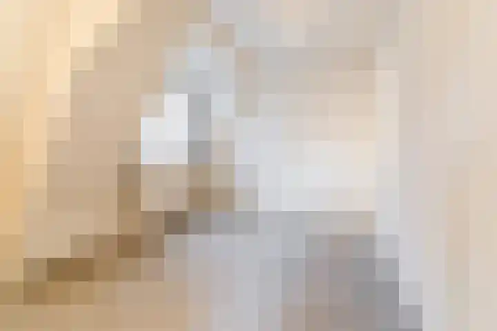 Gerardus Majellastraat 2 B Dongen thumbnail 34