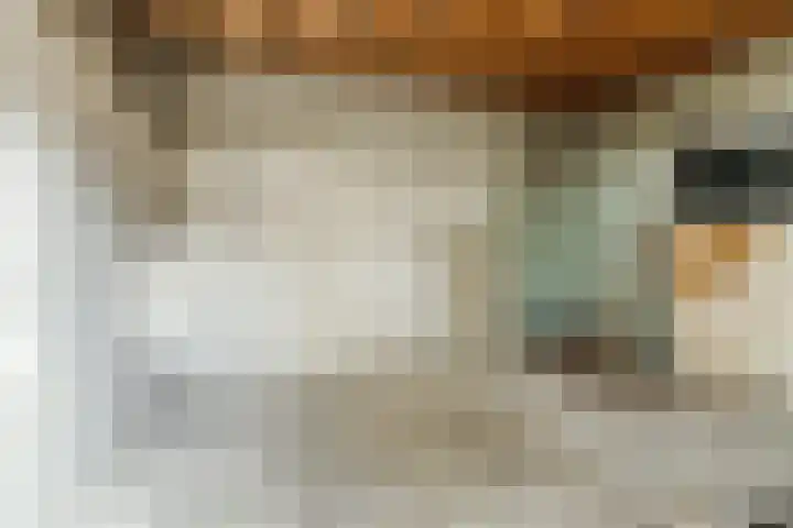 Gerardus Majellastraat 2 B Dongen thumbnail 41