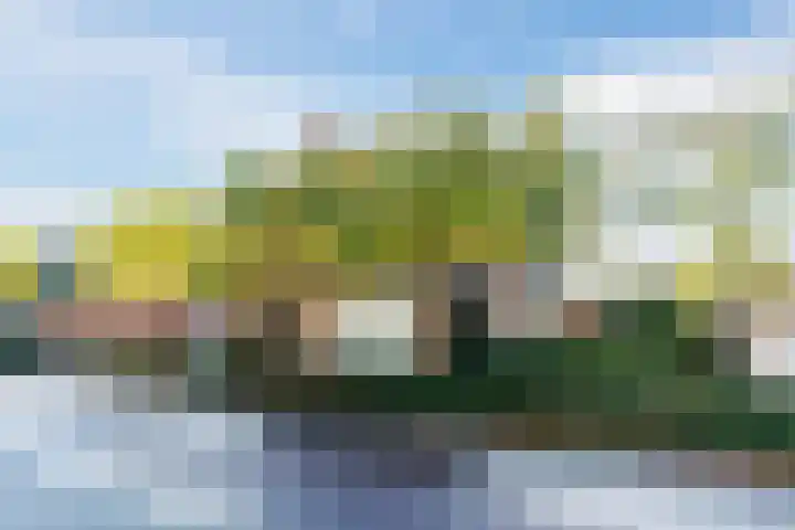 Gerardus Majellastraat 2 B Dongen thumbnail 44
