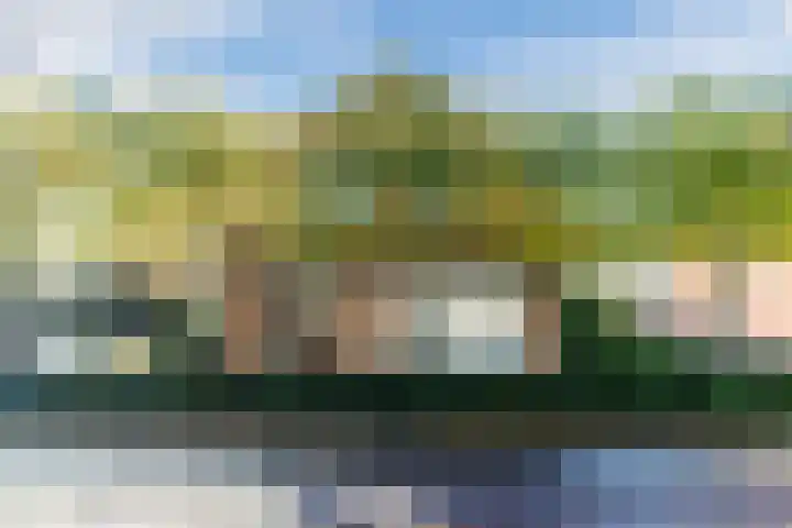 Gerardus Majellastraat 2 B Dongen thumbnail 45