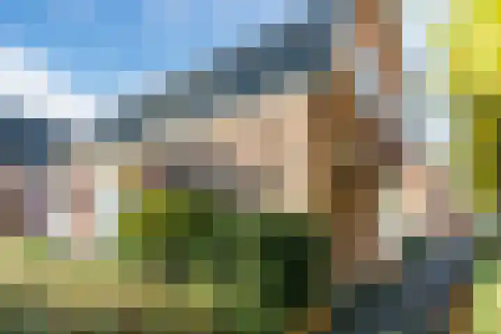 Gerardus Majellastraat 2 B Dongen thumbnail 47