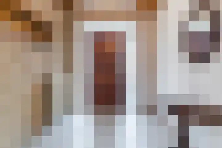 Gerardus Majellastraat 2 B Dongen thumbnail 5