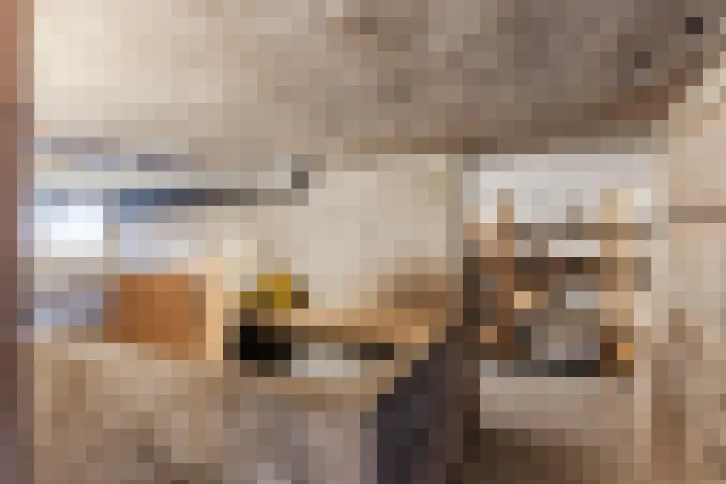 Gerardus Majellastraat 24 Dongen thumbnail 15
