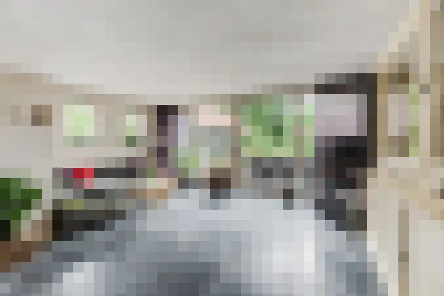 Gerardus Majellastraat 24 Dongen thumbnail 25