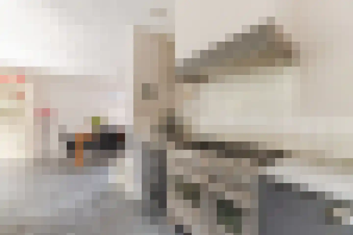 Gerardus Majellastraat 24 Dongen thumbnail 29