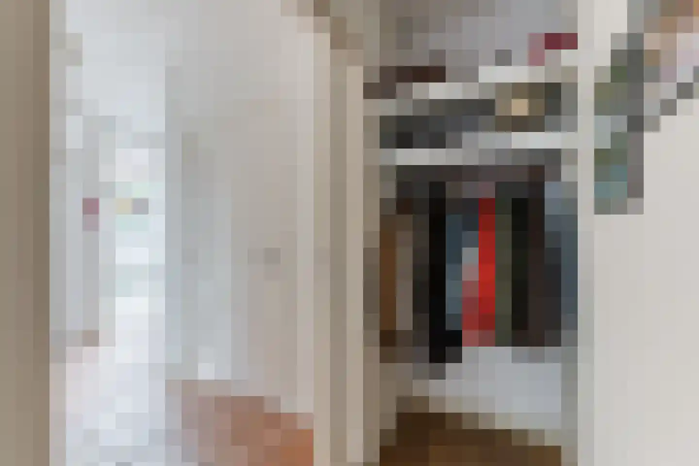Gerardus Majellastraat 24 Dongen thumbnail 37