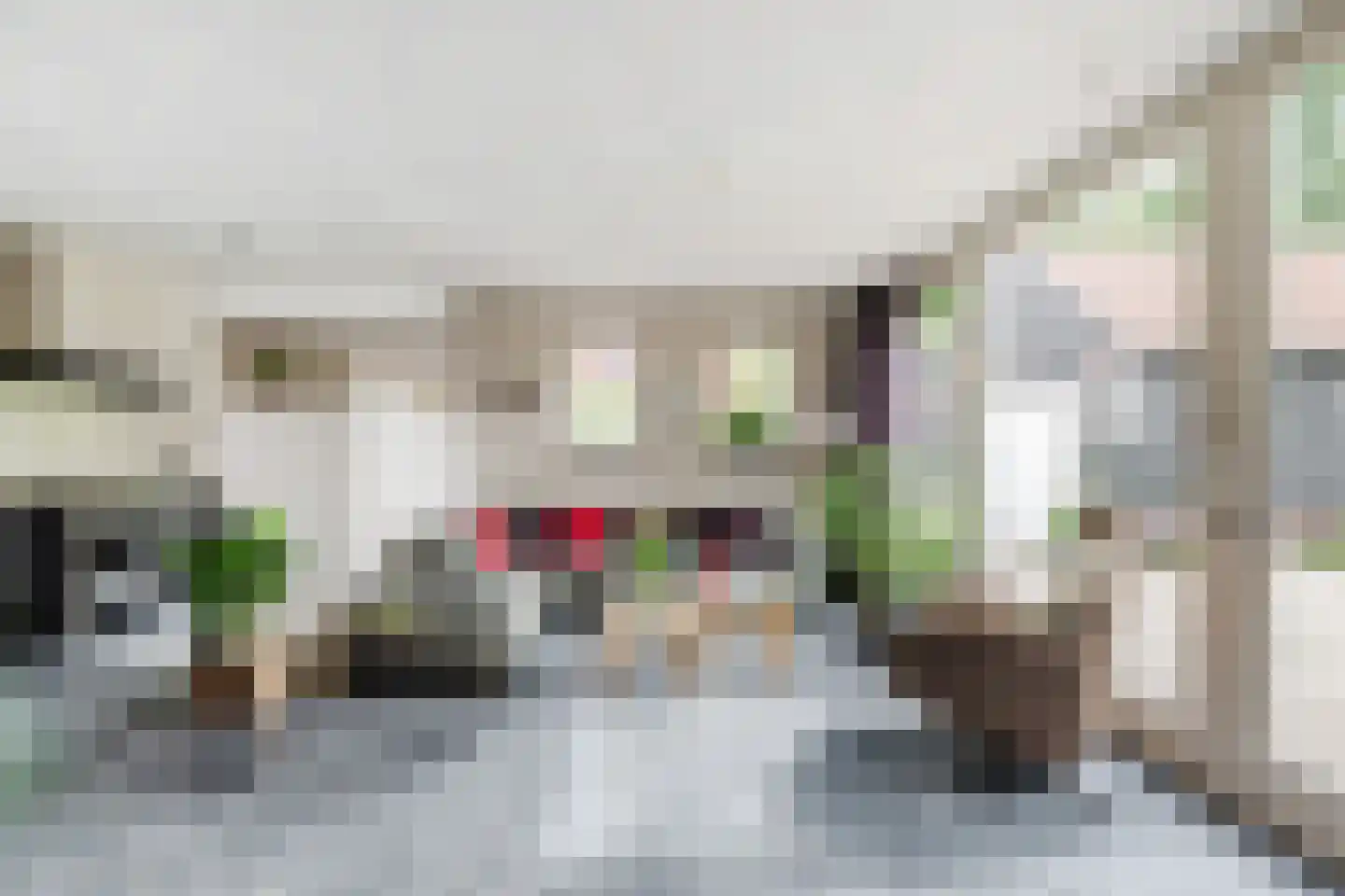 Gerardus Majellastraat 24 Dongen thumbnail 4