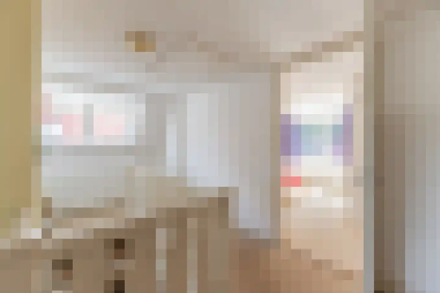 Gerardus Majellastraat 24 Dongen thumbnail 40