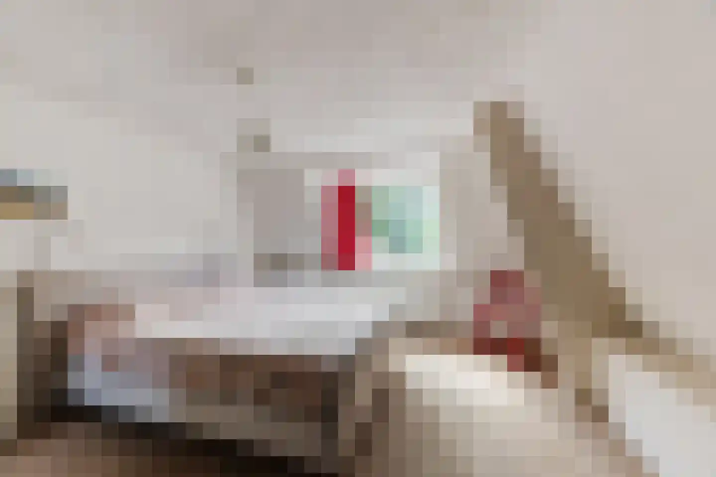 Gerardus Majellastraat 24 Dongen thumbnail 41