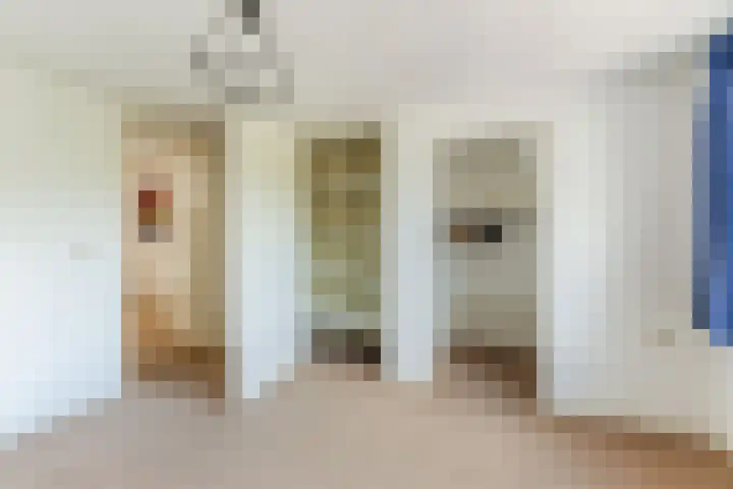Gerardus Majellastraat 24 Dongen thumbnail 46