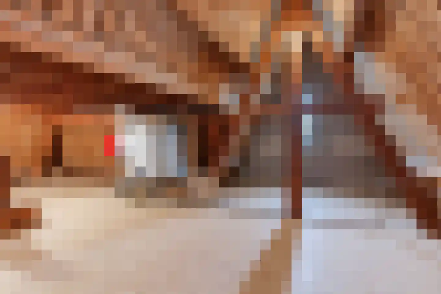 Gerardus Majellastraat 24 Dongen thumbnail 52