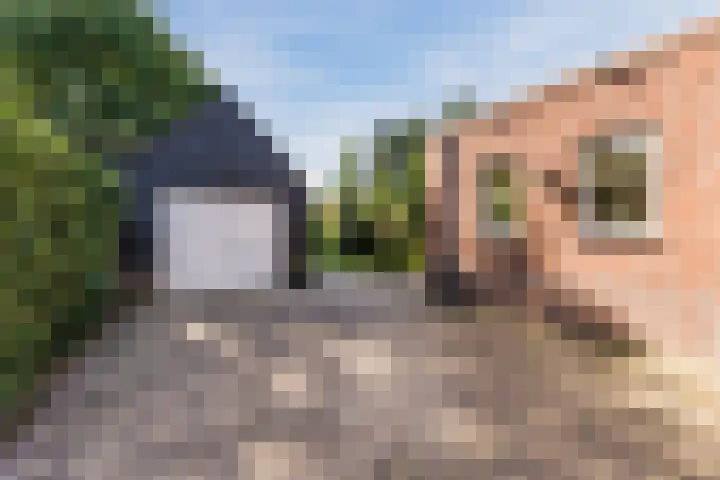 Gerardus Majellastraat 24 Dongen thumbnail 55