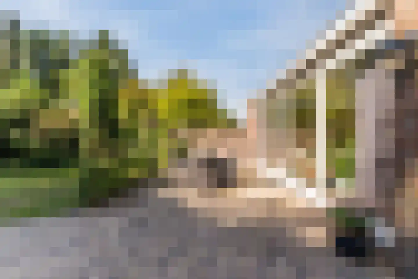 Gerardus Majellastraat 24 Dongen thumbnail 57