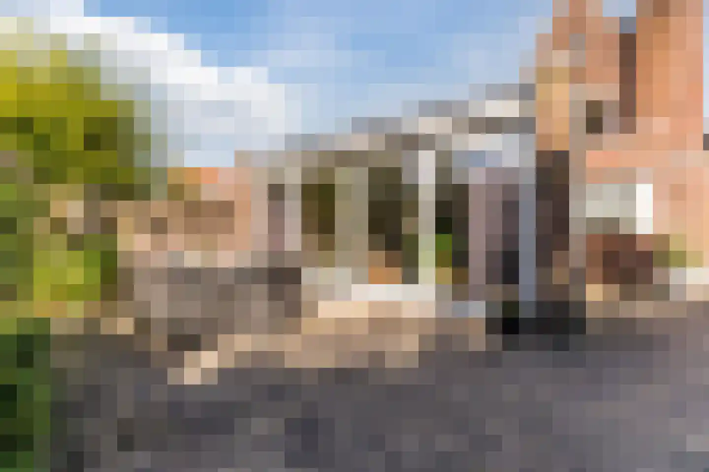 Gerardus Majellastraat 24 Dongen thumbnail 58