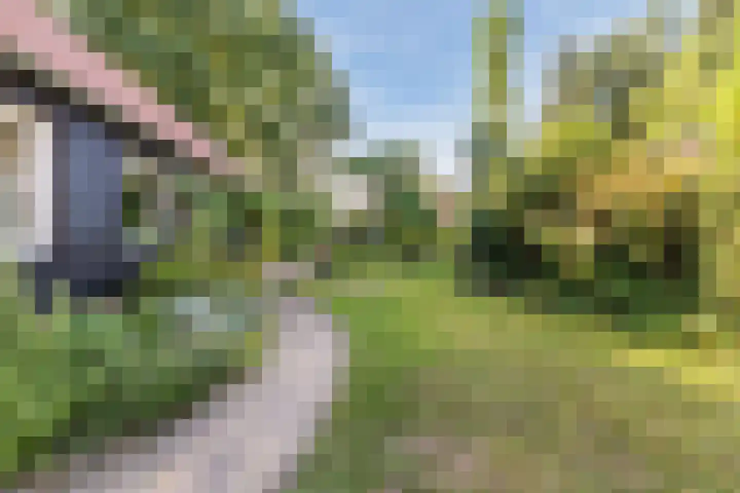 Gerardus Majellastraat 24 Dongen thumbnail 62
