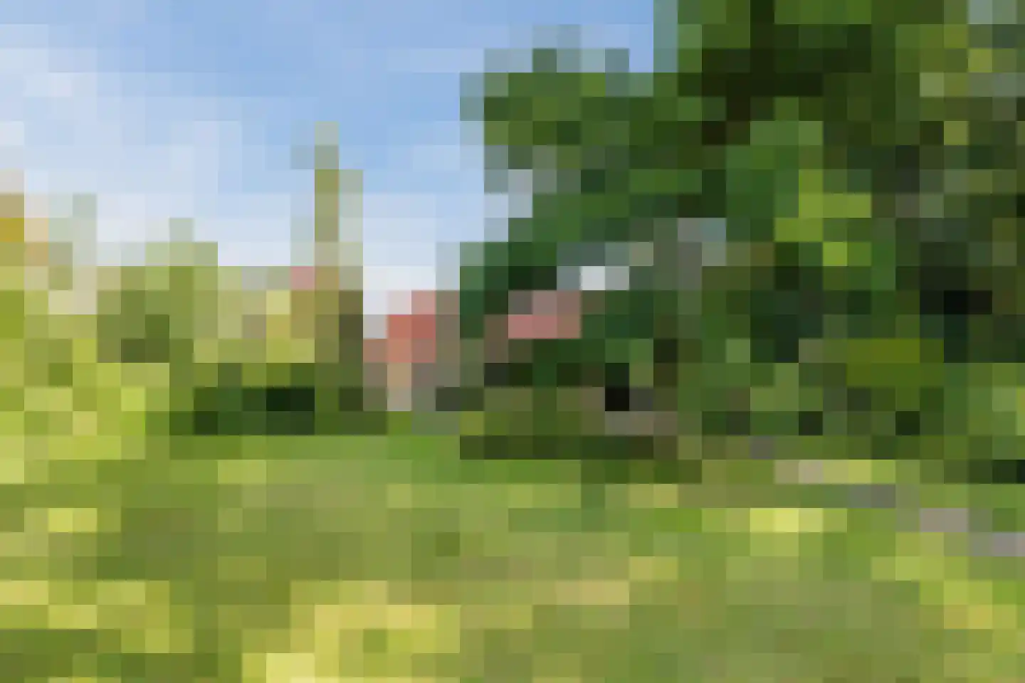 Gerardus Majellastraat 24 Dongen thumbnail 67