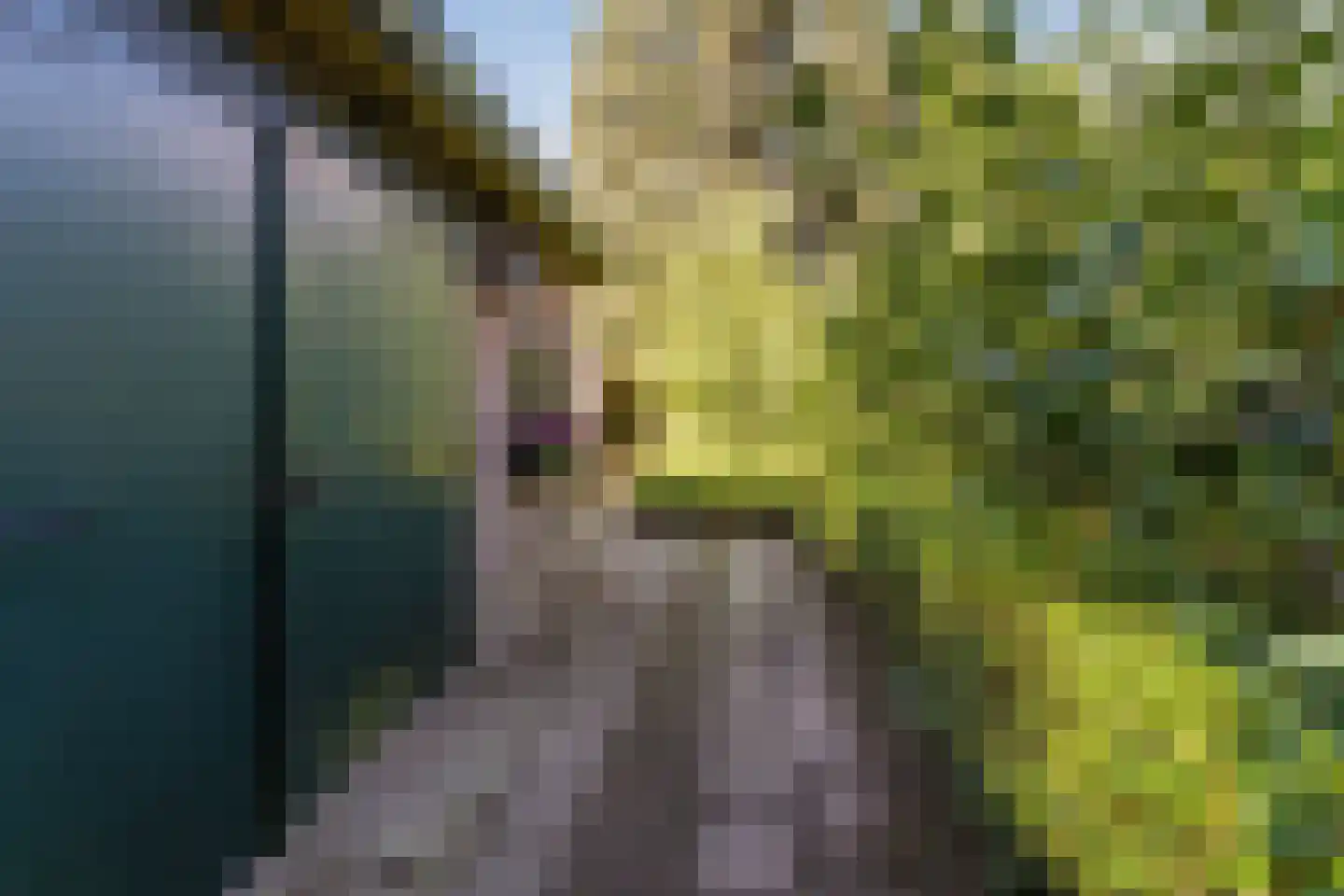 Gerardus Majellastraat 24 Dongen thumbnail 75
