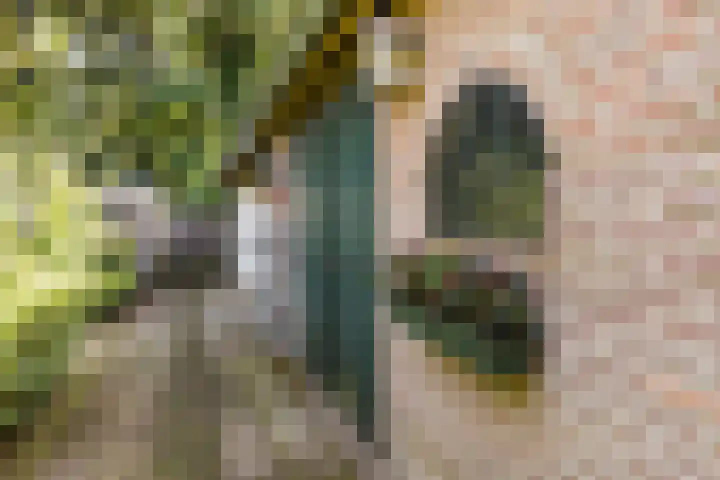 Gerardus Majellastraat 24 Dongen thumbnail 76