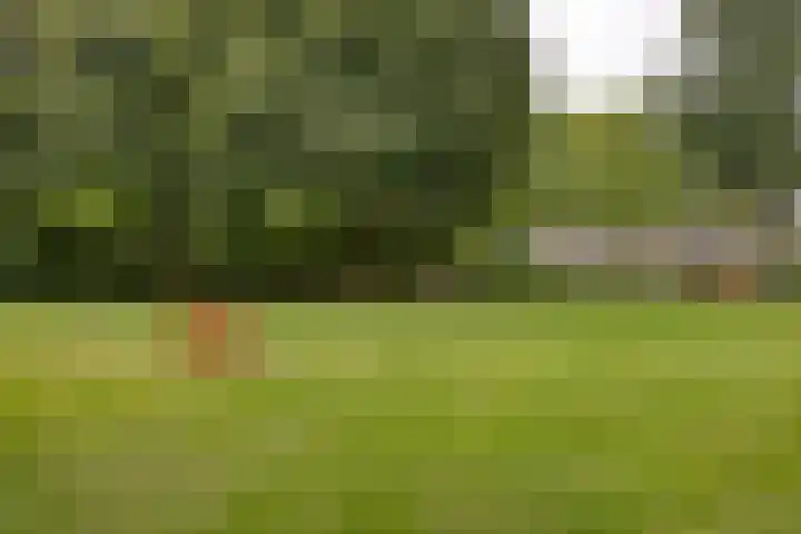Gerardus Majellastraat 39 Dongen thumbnail 25