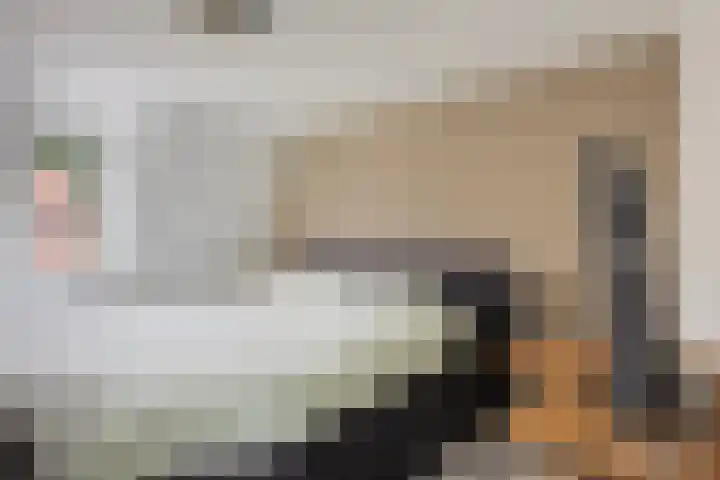 Gerardus Majellastraat 39 Dongen thumbnail 4