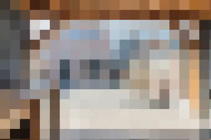 Gerardus Majellastraat 41 Dongen thumbnail 4