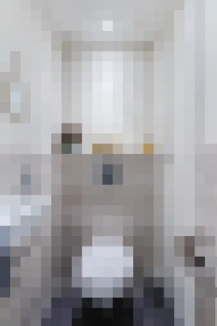 Gerardus Majellastraat 41 Dongen thumbnail 7