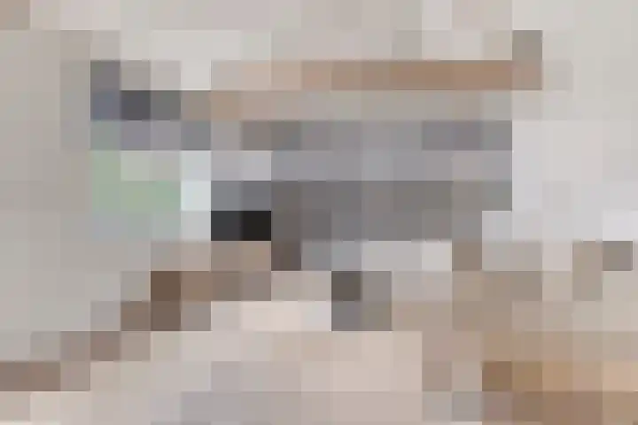 Gerardus Majellastraat 7 Dongen thumbnail 13