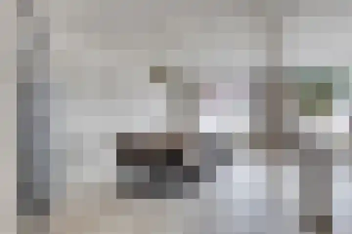 Gerardus Majellastraat 7 Dongen thumbnail 18