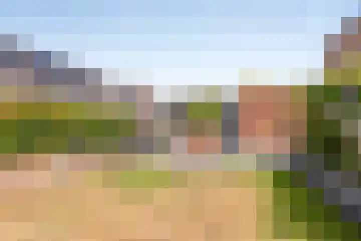 Gerardus Majellastraat 7 Dongen thumbnail 38