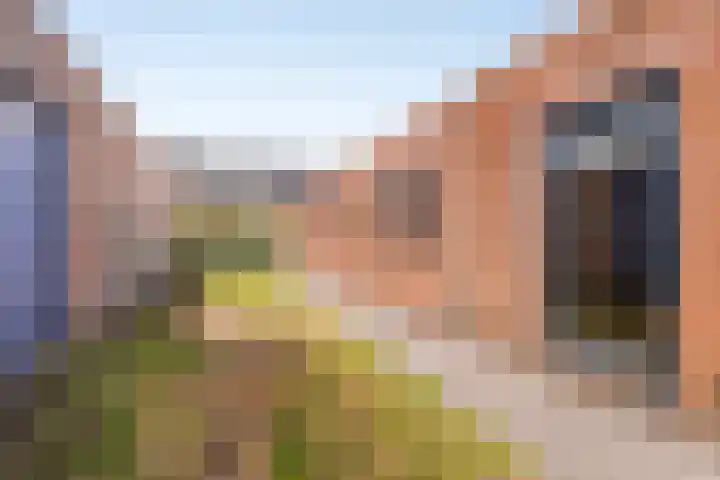 Gerardus Majellastraat 7 Dongen thumbnail 40