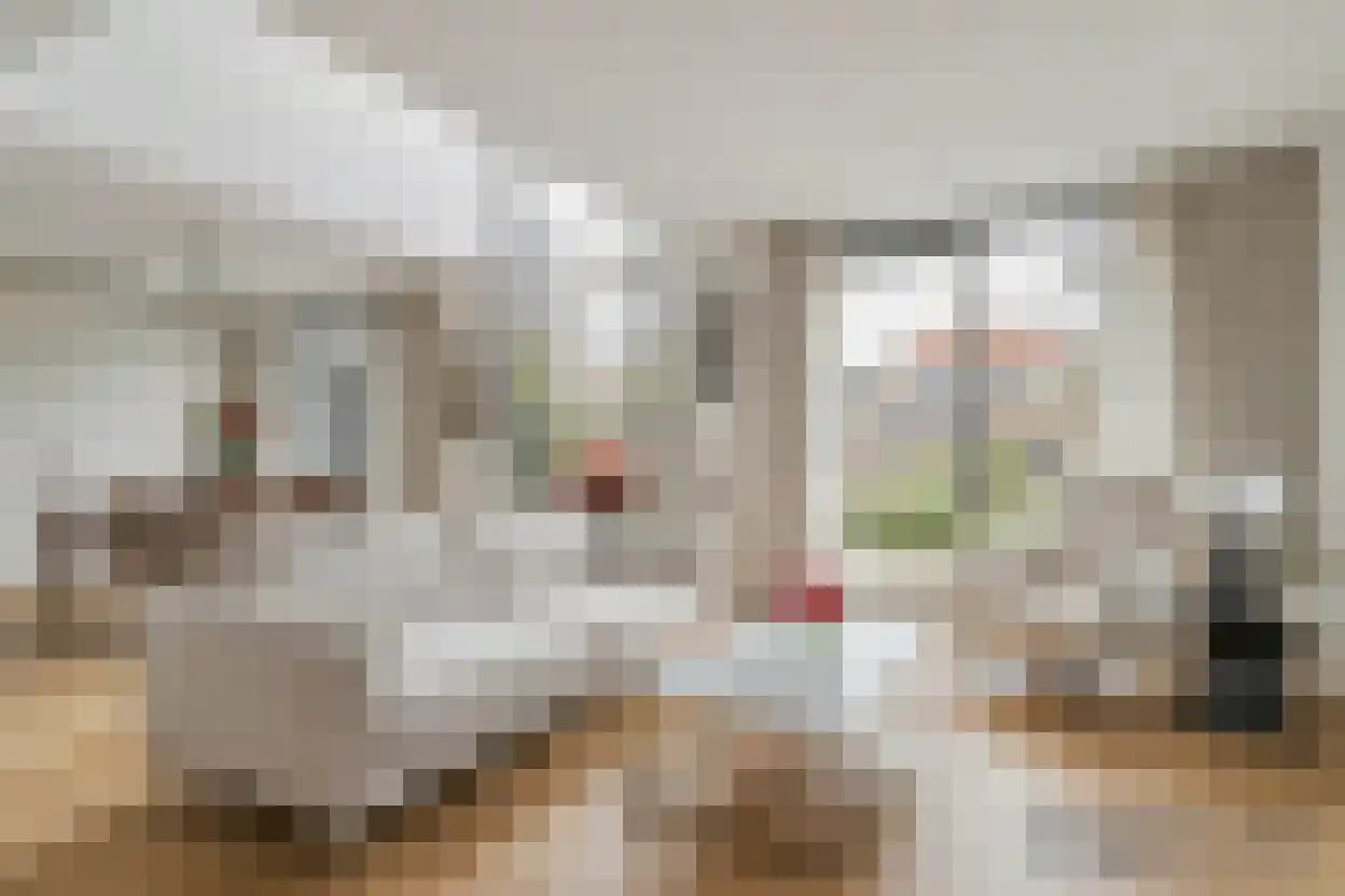 Gerardus van Sillevoldtstraat 19 Rotterdam thumbnail 11