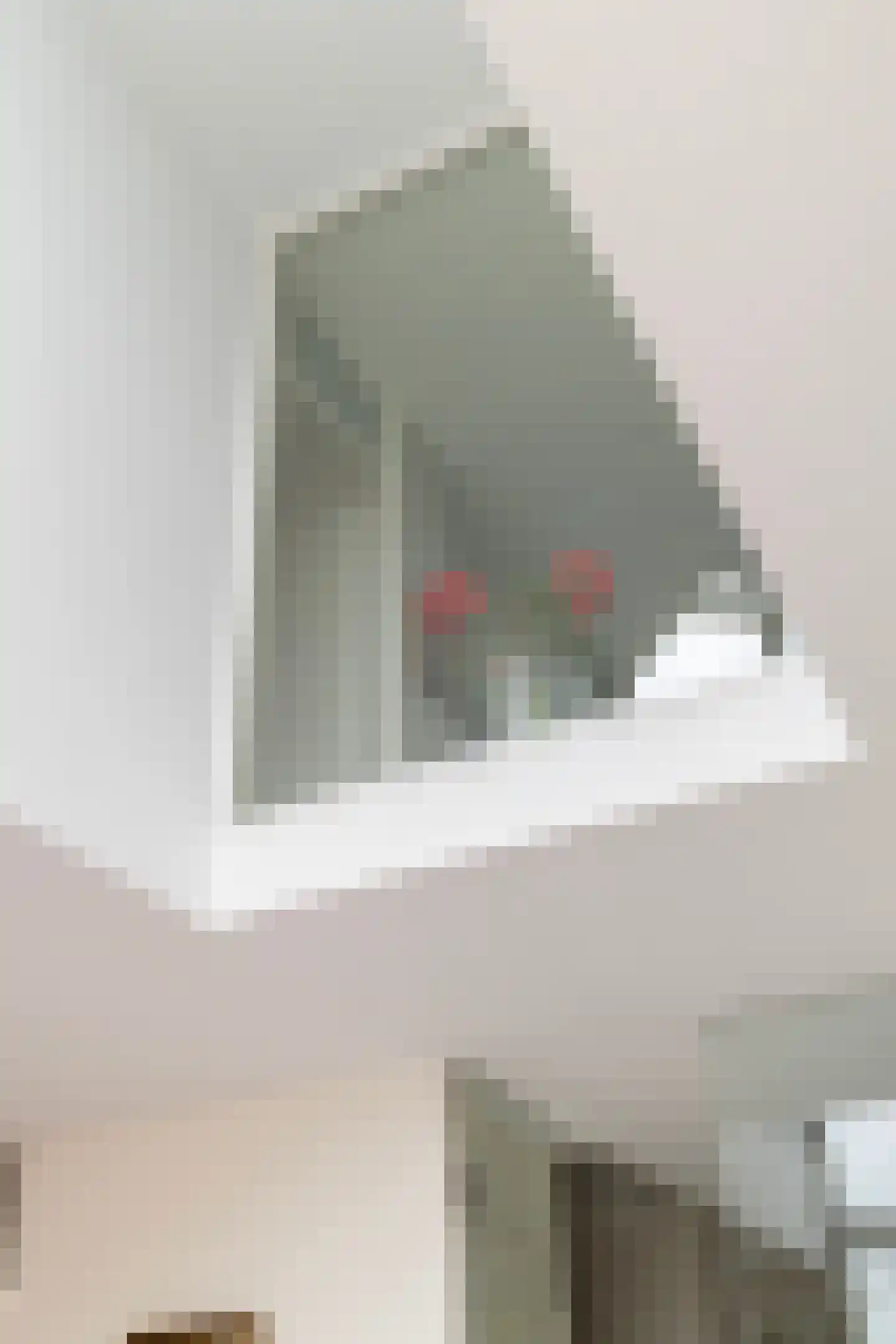 Gerardus van Sillevoldtstraat 19 Rotterdam thumbnail 12