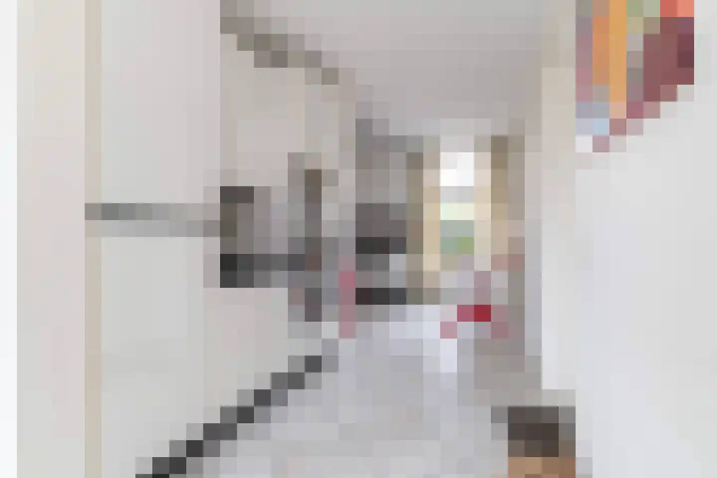 Gerardus van Sillevoldtstraat 19 Rotterdam thumbnail 23
