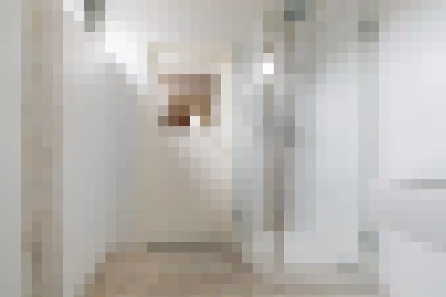 Gerardus van Sillevoldtstraat 19 Rotterdam thumbnail 35