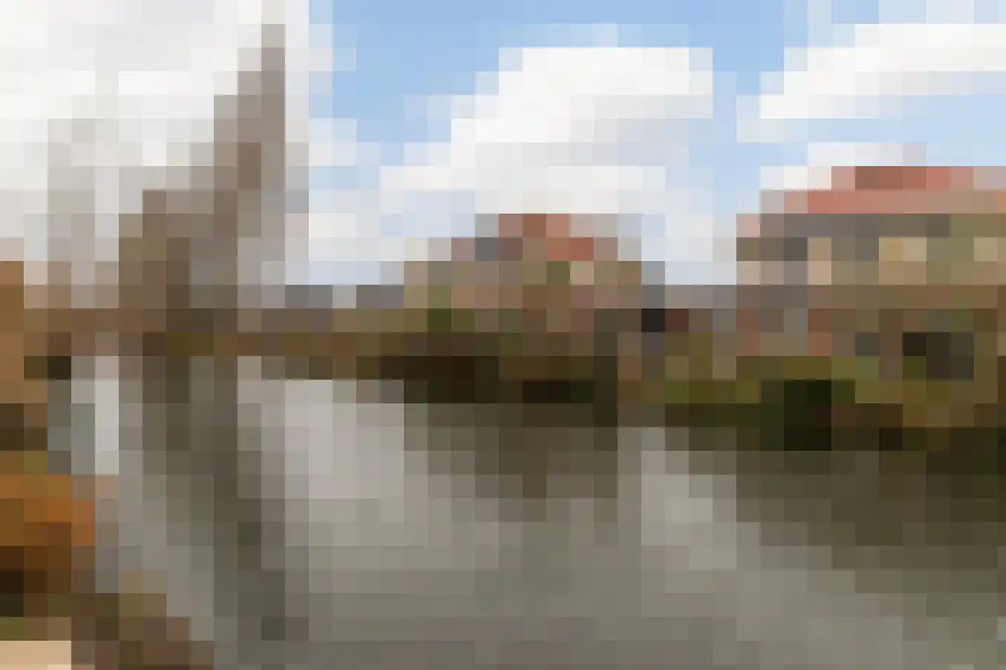 Gerardus van Sillevoldtstraat 19 Rotterdam thumbnail 4