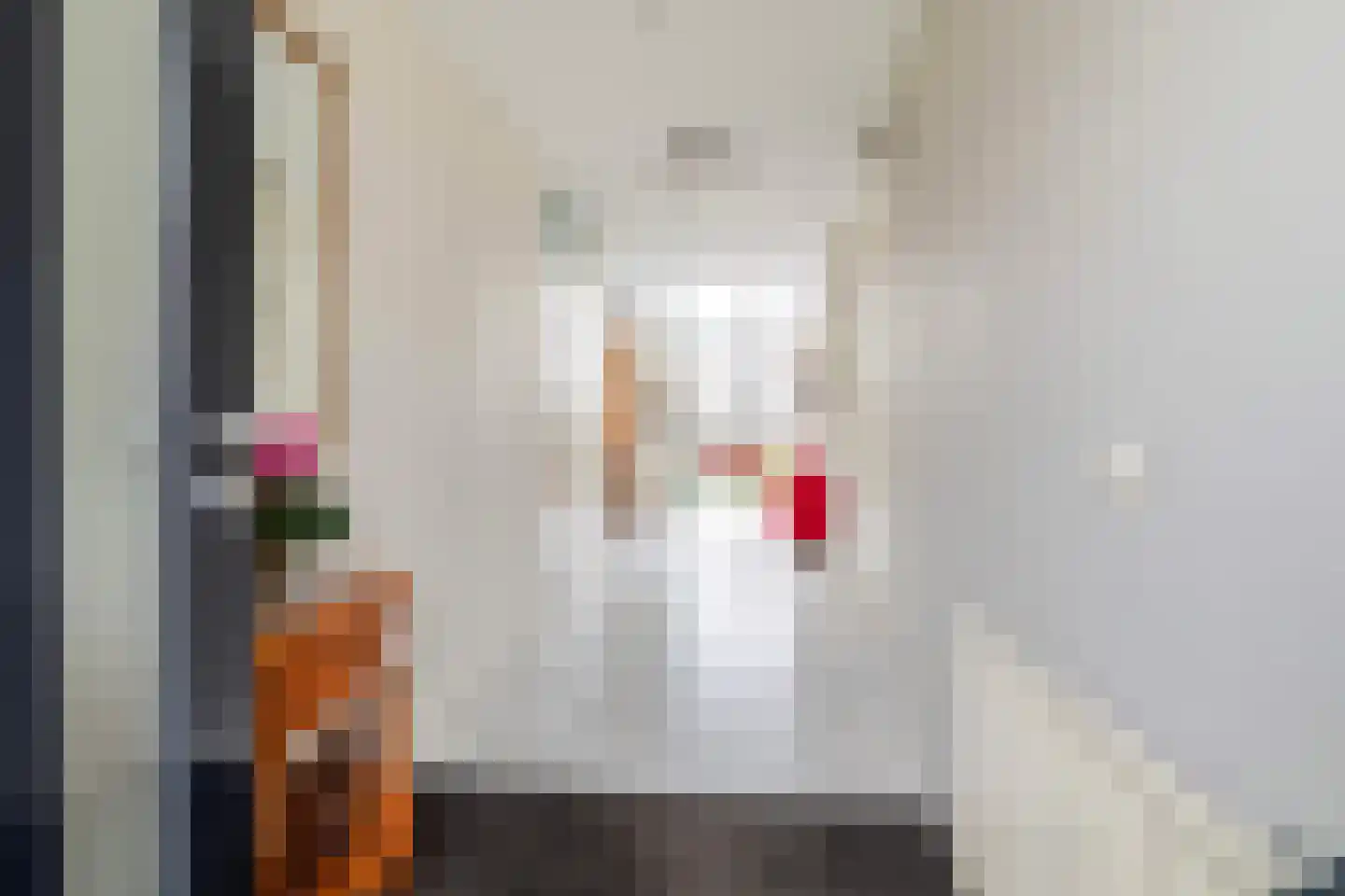 Gerardus van Sillevoldtstraat 19 Rotterdam thumbnail 5