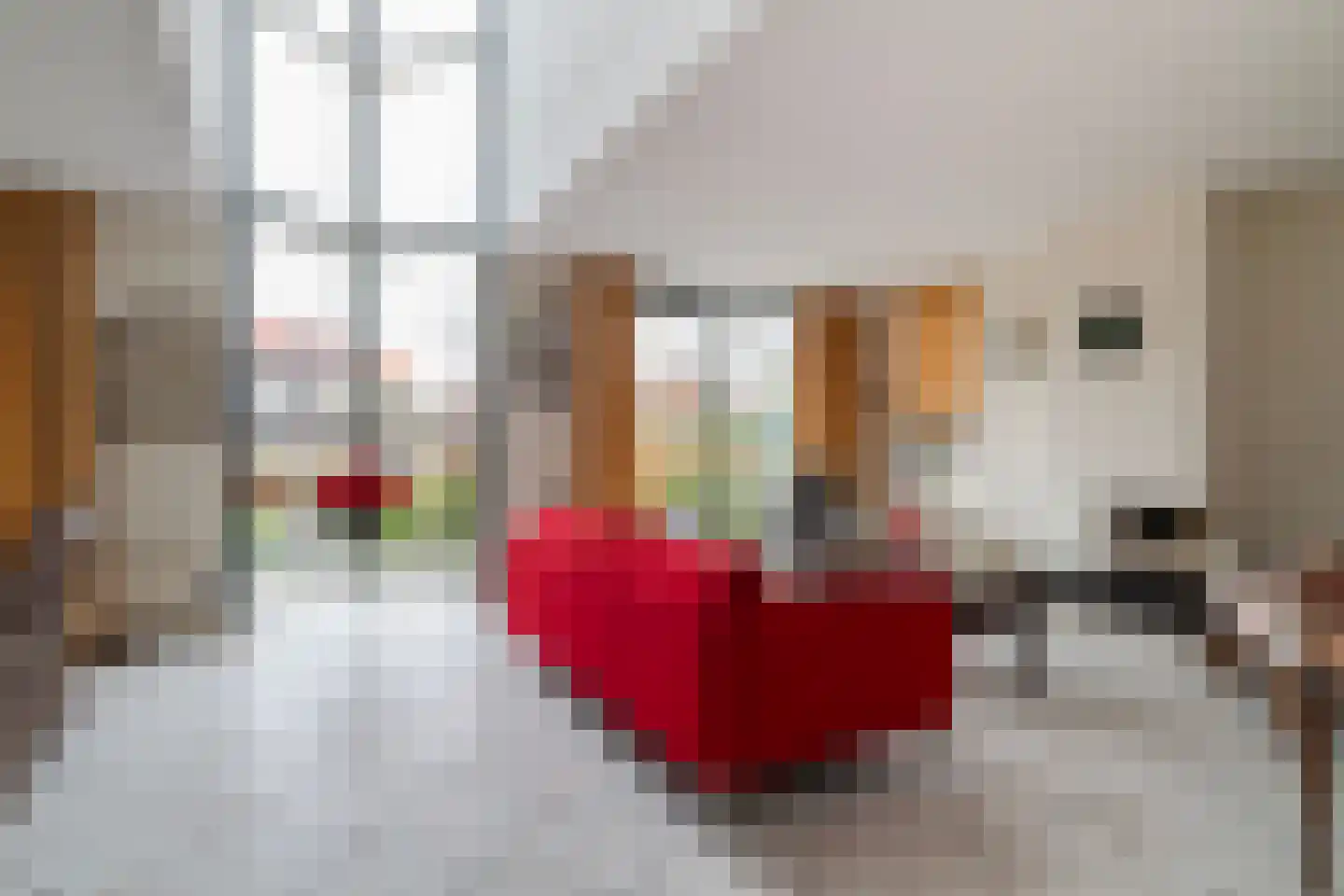 Gerardus van Sillevoldtstraat 19 Rotterdam thumbnail 9