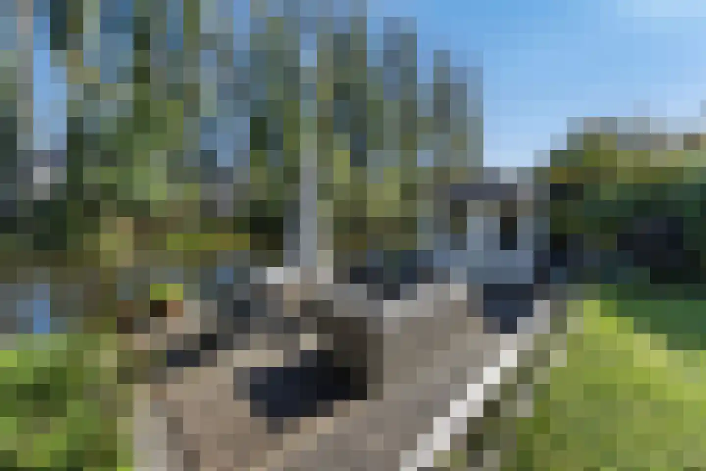 Gerardus van Sillevoldtstraat 29 Rotterdam thumbnail 22