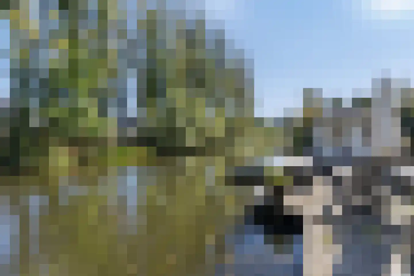 Gerardus van Sillevoldtstraat 29 Rotterdam thumbnail 23
