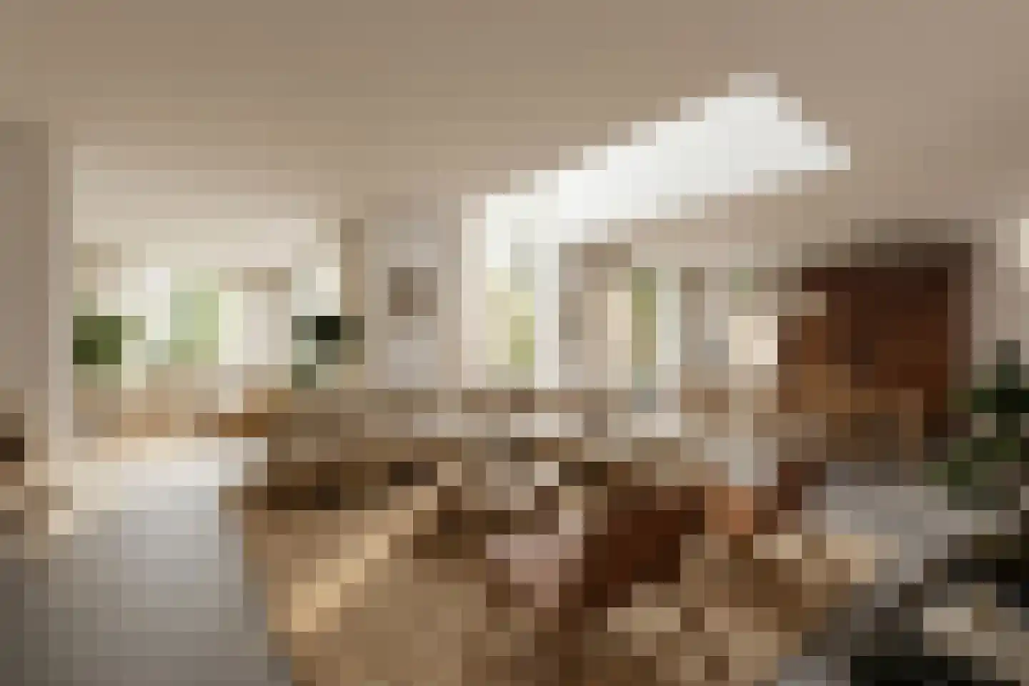 Gerardus van Sillevoldtstraat 29 Rotterdam thumbnail 4