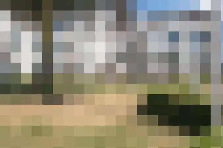 Gerardusstraat 34 Berkel-Enschot thumbnail 21