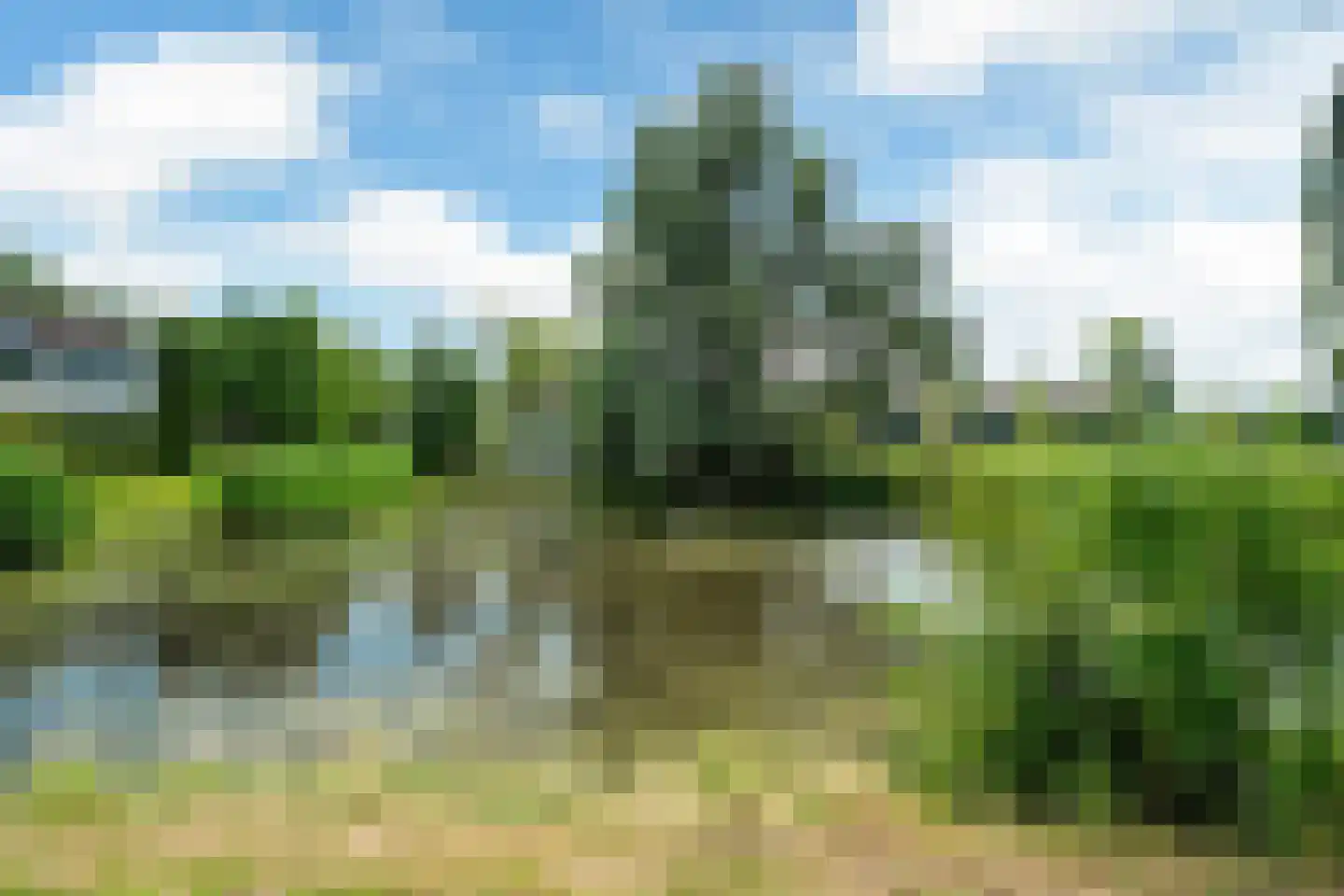 Gerben Colmjonwei 189 Leeuwarden thumbnail 30