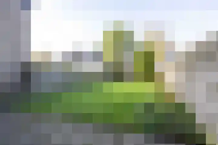 Gerben Colmjonwei 22 Leeuwarden thumbnail 35